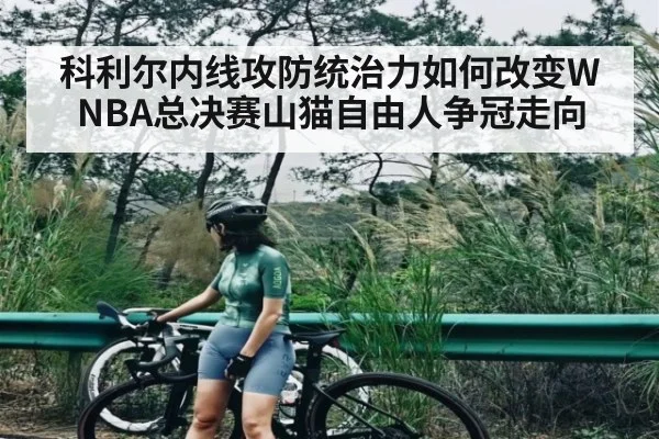科利尔内线攻防统治力如何改变WNBA总决赛山猫自由人争冠走向