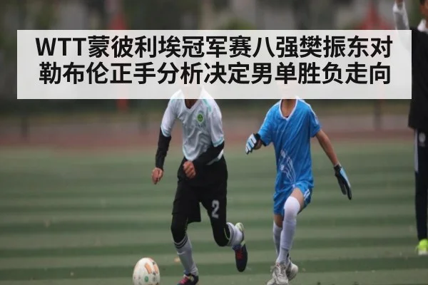 WTT蒙彼利埃冠军赛八强樊振东对勒布伦正手分析决定男单胜负走向